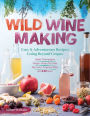 Wild Winemaking: Easy & Adventurous Recipes Going Beyond Grapes, Including Apple Champagne, Ginger-Green Tea Sake, Key Lime-Cayenne Wine, and 142 More