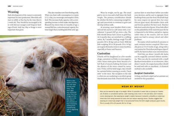Storey's Guide to Raising Dairy Goats, 5th Edition: Breed Selection, Feeding, Fencing, Health Care, Dairying, Marketing