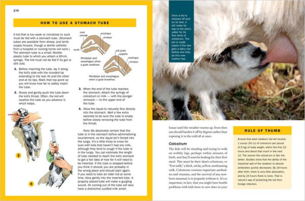 Storey's Guide to Raising Dairy Goats, 5th Edition: Breed Selection, Feeding, Fencing, Health Care, Dairying, Marketing