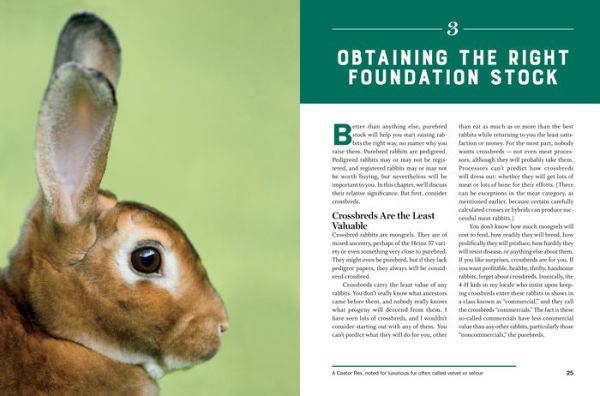 Storey's Guide to Raising Rabbits, 5th Edition: Breeds, Care, Housing