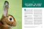 Alternative view 9 of Storey's Guide to Raising Rabbits, 5th Edition: Breeds, Care, Housing