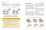 Alternative view 4 of Storey's Guide to Raising Sheep, 5th Edition: Breeding, Care, Facilities