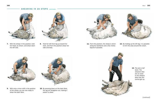 Storey's Guide to Raising Sheep, 5th Edition: Breeding, Care, Facilities