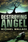 Destroying Angel (Righteous Series #5)