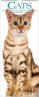 2019 Cats Wall Calendar
