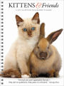 2019 Kittens & Friends Engagement Planner Calendar