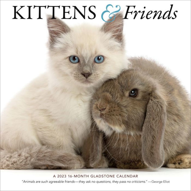 2023 Kittens & Friends Wall Calendar by Gladstone Media Barnes & Noble®