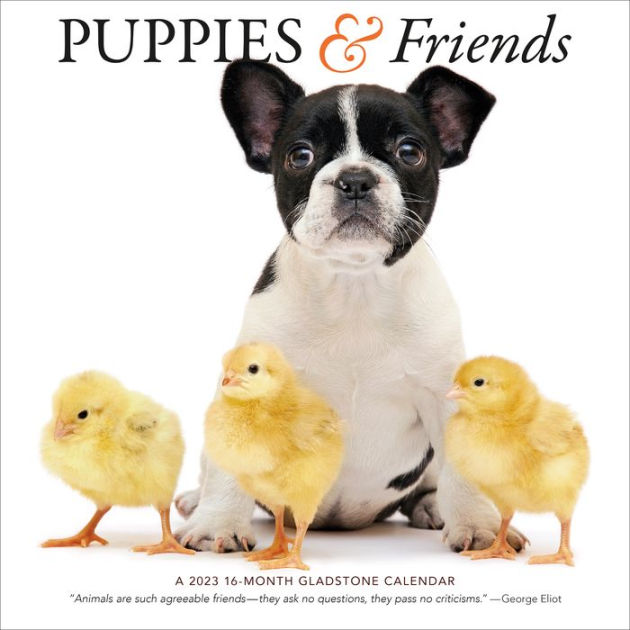 2023 Puppies & Friends Wall Calendar by Gladstone Media Barnes & Noble®