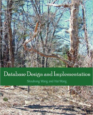 Database Design And Implementation