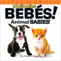 Animales bebes! / Animal Babies!