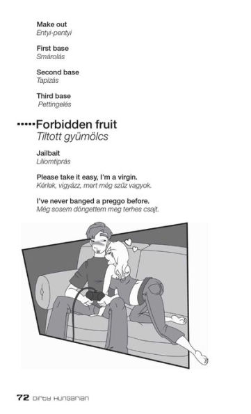 Dirty Hungarian: Everyday Slang from 