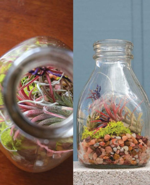 Terrariums Reimagined: Mini Worlds Made in Creative Containers