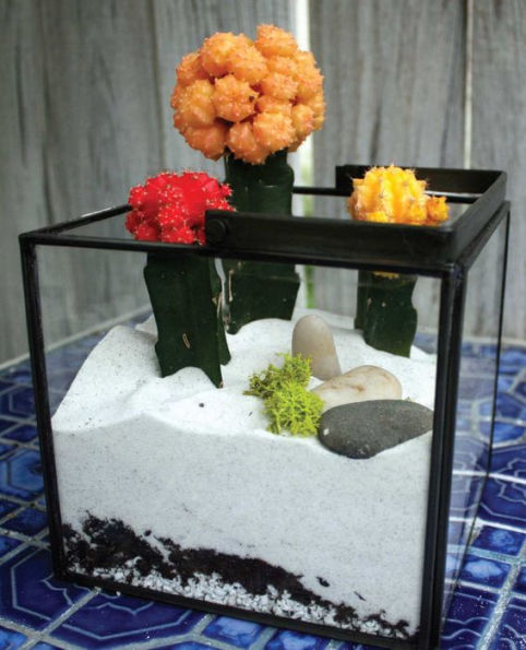 Terrariums Reimagined: Mini Worlds Made in Creative Containers