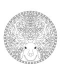 Alternative view 2 of Coloring Animal Mandalas