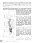 Alternative view 5 of Kinesiology Taping for Rehab and Injury Prevention: An Easy, At-Home Guide for Overcoming Common Strains, Pains and Conditions