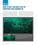 Alternative view 2 of Focus and Filter: Professional Techniques for Mastering Digital Photography and Capturing the Perfect Shot
