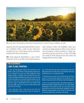 Alternative view 4 of Focus and Filter: Professional Techniques for Mastering Digital Photography and Capturing the Perfect Shot