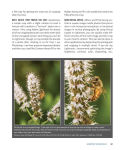 Alternative view 5 of Focus and Filter: Professional Techniques for Mastering Digital Photography and Capturing the Perfect Shot