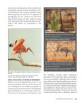 Alternative view 7 of Focus and Filter: Professional Techniques for Mastering Digital Photography and Capturing the Perfect Shot