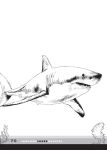 Alternative view 3 of Jawsome Shark Quizzes: Test Your Knowledge of Shark Types, Behaviors, Attacks, Legends and Other Trivia