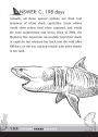 Alternative view 4 of Jawsome Shark Quizzes: Test Your Knowledge of Shark Types, Behaviors, Attacks, Legends and Other Trivia