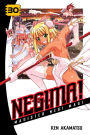 Negima!: Volume 30