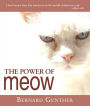 The Power of Meow