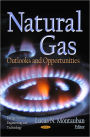 Natural Gas: Outlooks and Opportunities