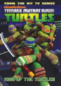 Teenage Mutant Ninja Turtles Animated, Volume 1: Rise of the Turtles