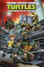 Teenage Mutant Ninja Turtles: New Animated Adventures, Volume 1
