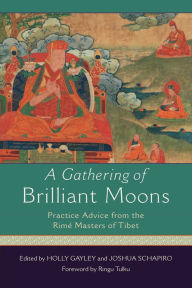 Title: A Gathering of Brilliant Moons: Practice Advice from the Rime Masters of Tibet, Author: Holly Gayley