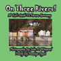 On Three Rivers! A Kid's Guide To Passau, Germany