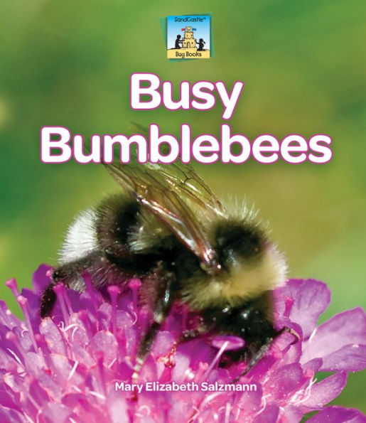 Busy Bumblebees eBook