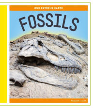 Title: Fossils, Author: Rebecca Felix