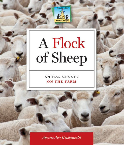 Flock of Sheep: Animal Groups on the Farm eBook