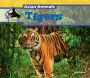 Tigers eBook