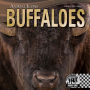 Buffaloes eBook