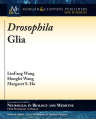 Title: Drosophila Glia / Edition 1, Author: LinFang Wang
