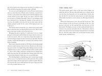Alternative view 5 of The Secret World of Weather: How to Read Signs in Every Cloud, Breeze, Hill, Street, Plant, Animal, and Dewdrop