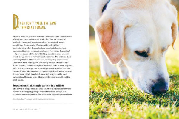 Making Dogs Happy: A Guide to How They Think, What They Do (and Don't) Want, and Getting to 