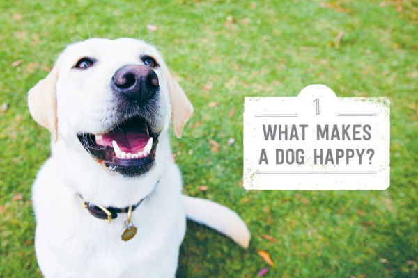 Making Dogs Happy: A Guide to How They Think, What They Do (and Don't) Want, and Getting to 