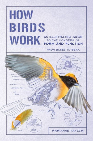 How Birds Work: An Illustrated Guide to the Wonders of Form and Function - from Bones to Beak (How Nature Works)