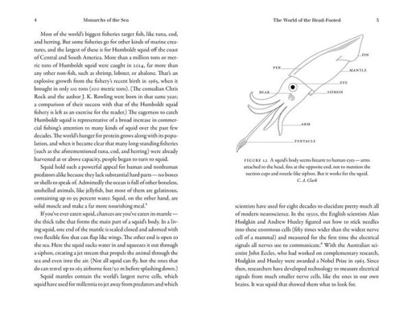 Monarchs of the Sea: The Extraordinary 500-Million-Year History of Cephalopods