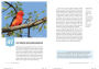 Alternative view 6 of Find More Birds: 111 Surprising Ways to Spot Birds Wherever You Are