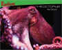 The Octopus