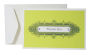 Boxed Note- Lime Ornamental- Thank You-set of eight