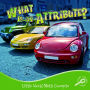 What Is An Attribute?