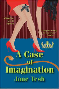 A Case of Imagination: A Madeleine Maclin Mystery #1