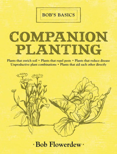 洋書　Planting Companions Companion Planting: Bob's Basics by Bob Flowerdew, Hardcover