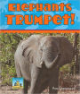 Elephants Trumpet! (Animal Sounds Series)